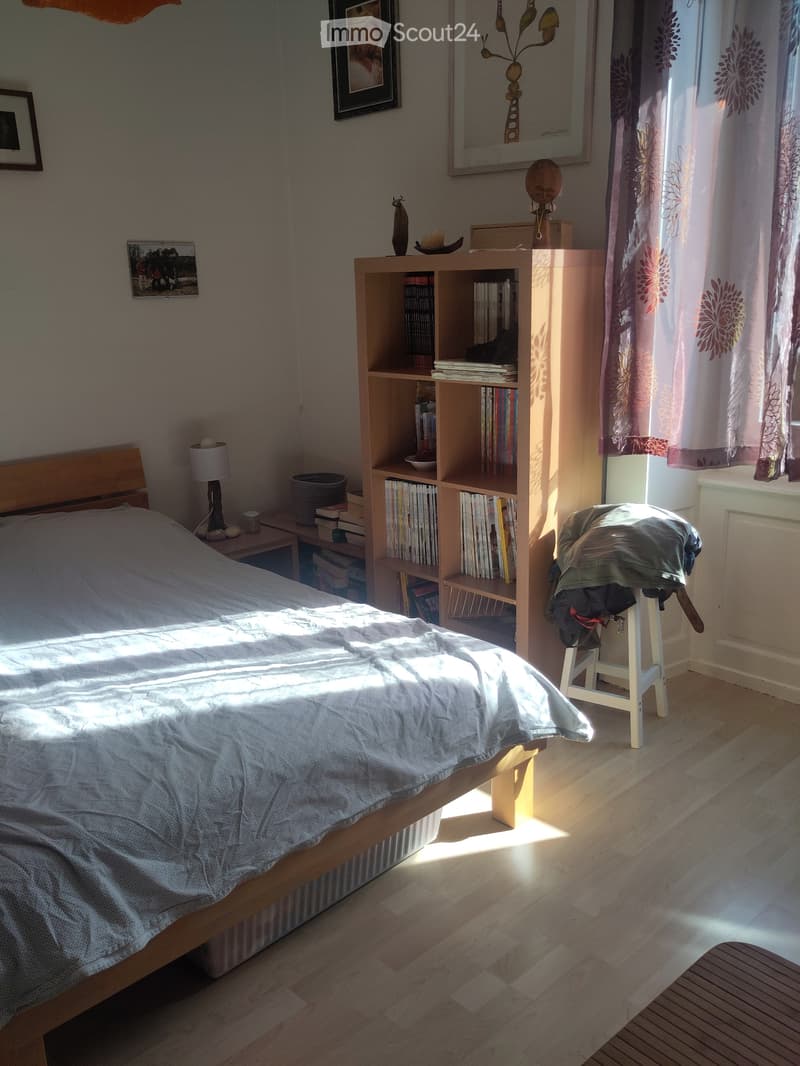 Apartment in Rue de la Côte district, with a view of the lake (3)