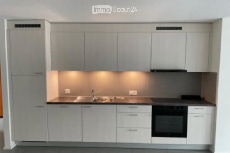 Appartement lumineux de 3 pièces avec balcon au cur d'Aigle (1)