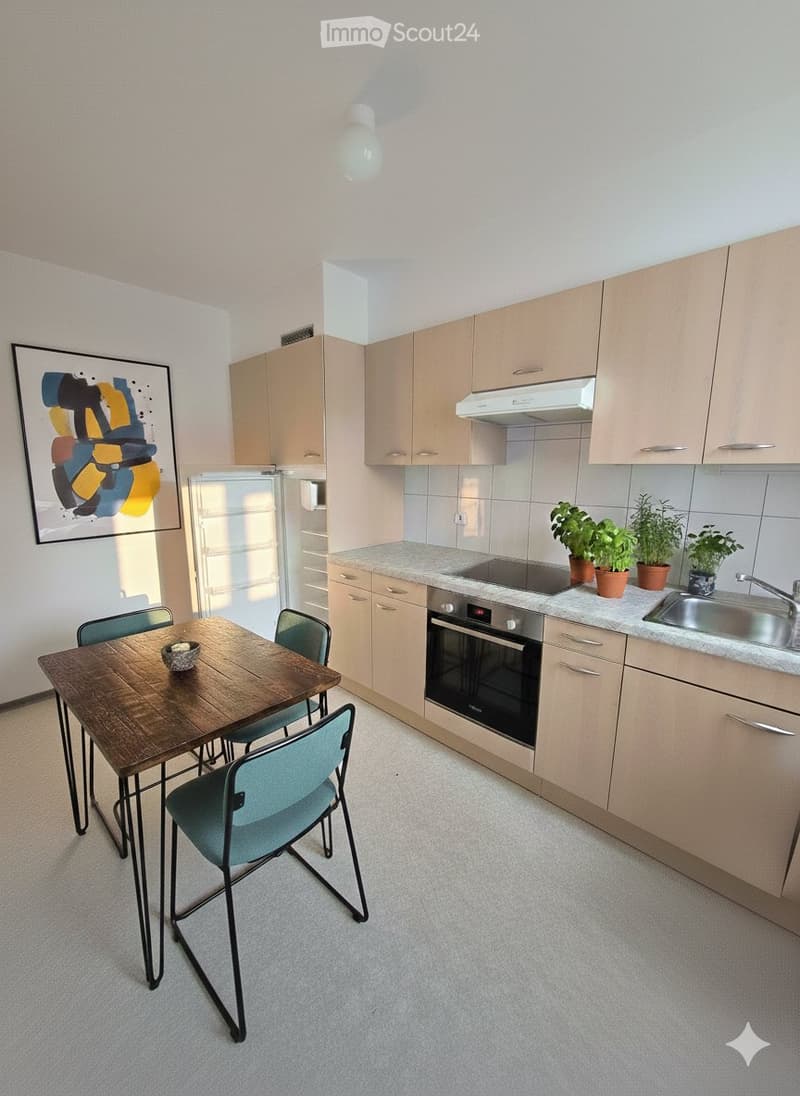 FOR RENT, 4.5 ROOMS WITH BALCONY (2)