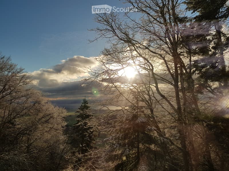 Appartement avec vue (8)