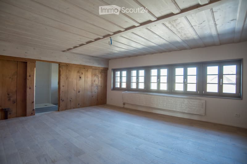 Großes Apartment, 3 Schlafzimmer, Büro, 2 Badezimmer (3)