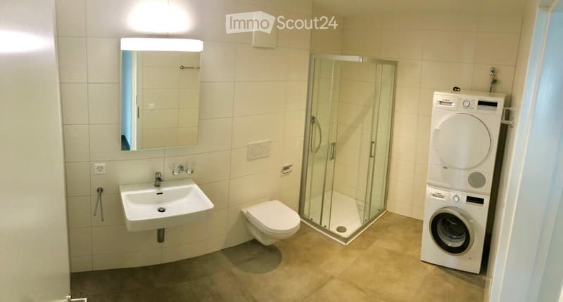 Zu vermieten 4,5 Zimmer Arconciel (4)