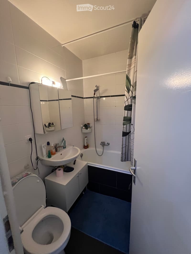 DRINGEND Übernahme eines 3-Zimmer-Mietvertrags in Chêne-Bougeries (5)