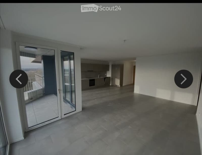 Magnifique appartement (5)