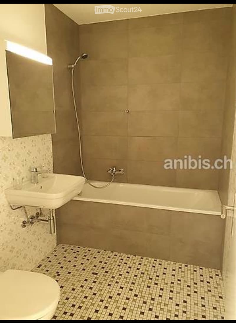 Takeover of lease 2.5-room apartment in Sion (4)