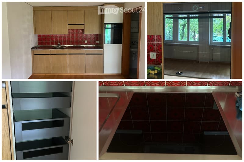 Spacious 1-room holiday apartment / studio in Diemtigtal (5)