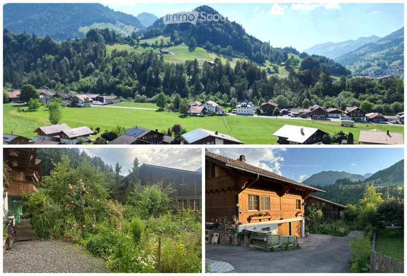 Spacious 1-room holiday apartment / studio in Diemtigtal (3)