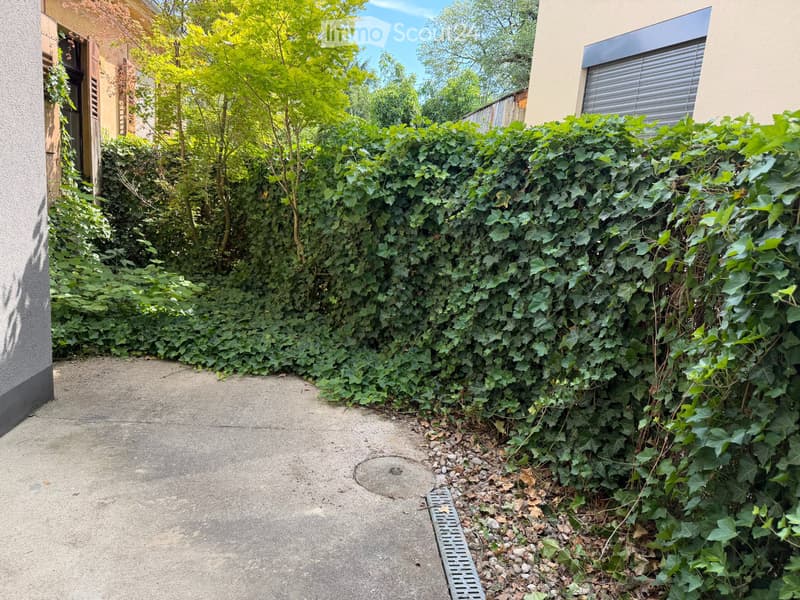 Colombier: zur Miete superbe Apartment mit 3.5 Zimmern im Erdgeschoss (3)
