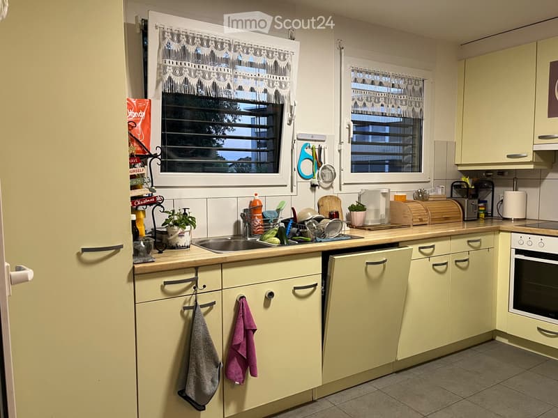 Reprise Apparement 4.5 pces 98m2 (1)