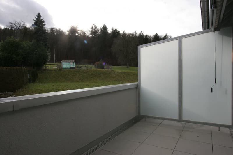 4.5 room attic apartment for rent in Dübendorf (2)