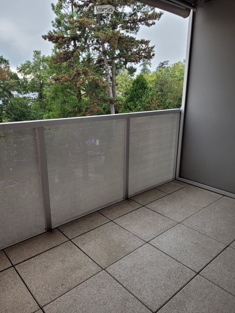 Large 3.5-room apartment with generous balcony (3)