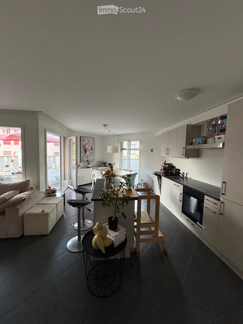 Appartement 4.5 avec grande terrasse (1)