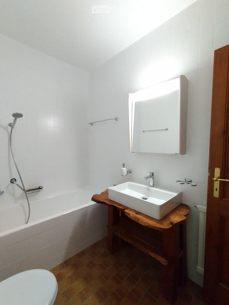 Large duplex with character in a renovated old farm (4)