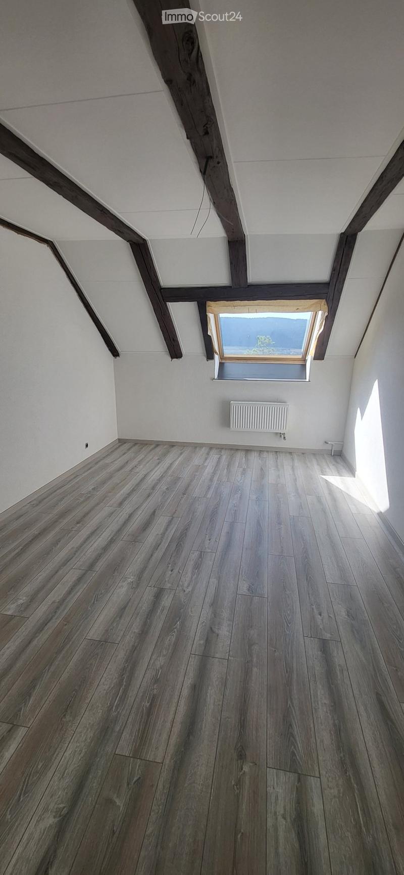 Lumineux appartement entièrement refait à neuf (4)