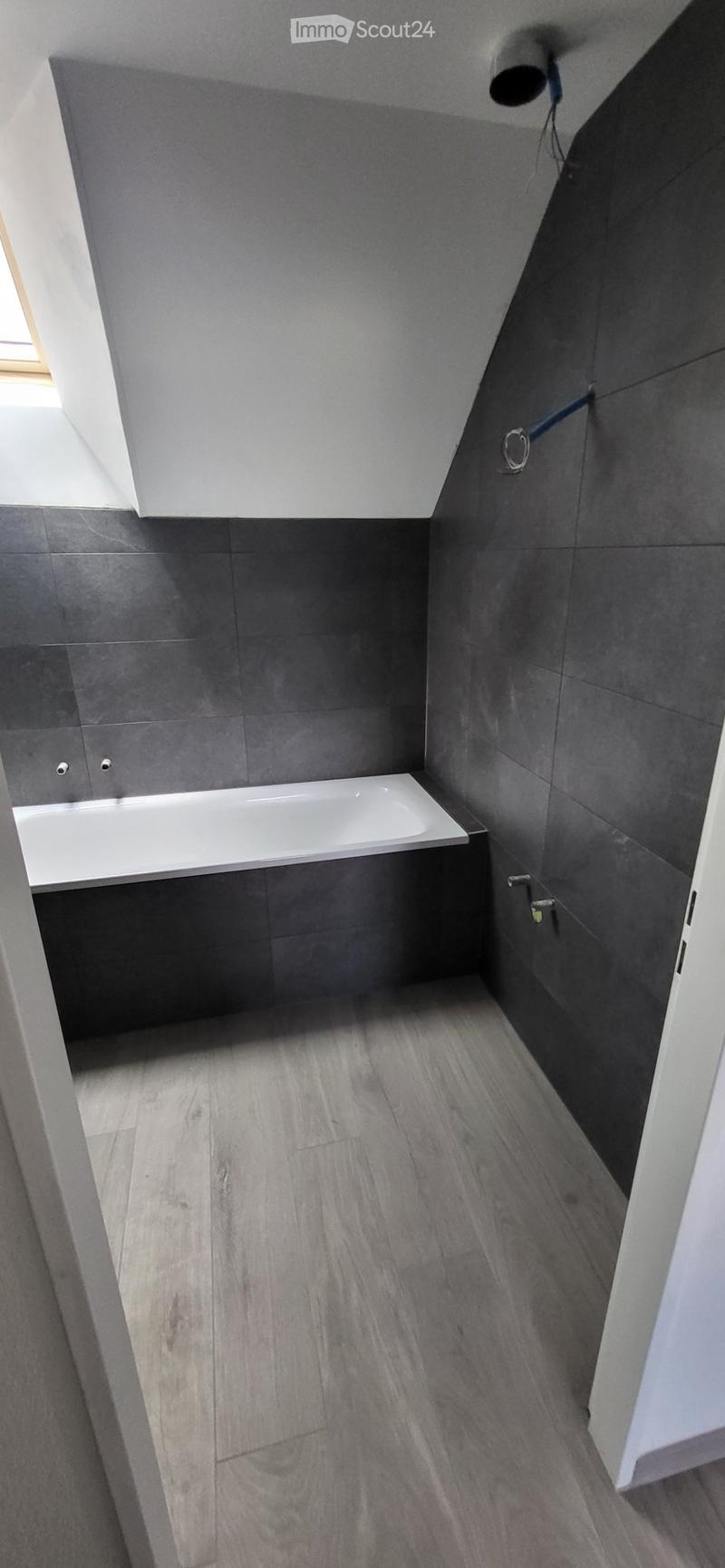 Lumineux appartement entièrement refait à neuf (5)