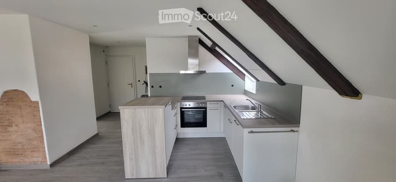 Lumineux appartement entièrement refait à neuf (2)