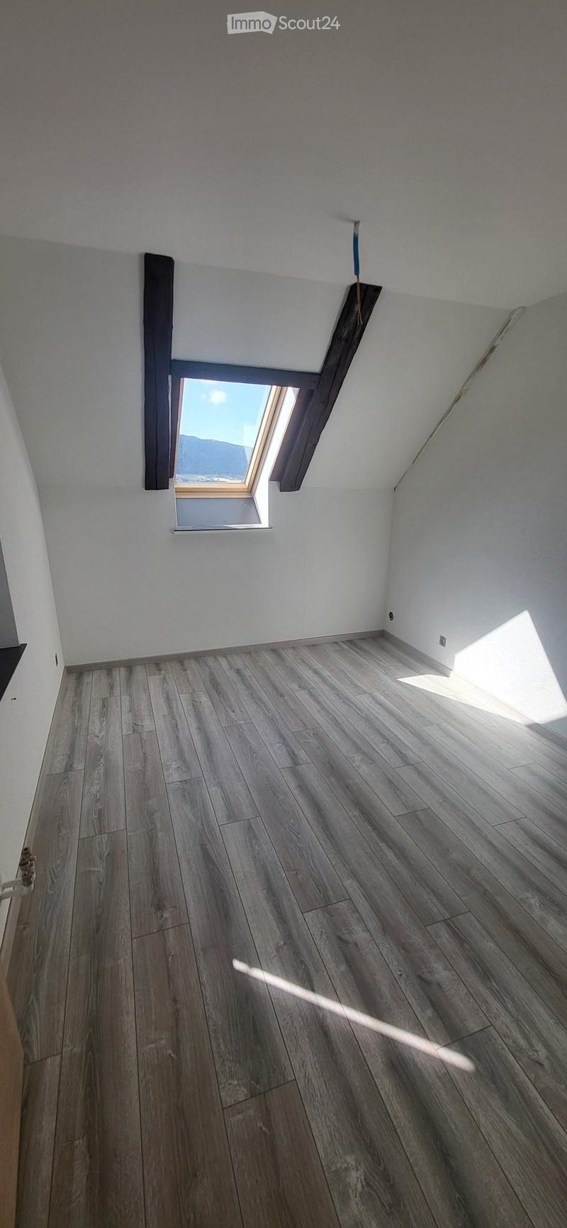 Lumineux appartement entièrement refait à neuf (3)