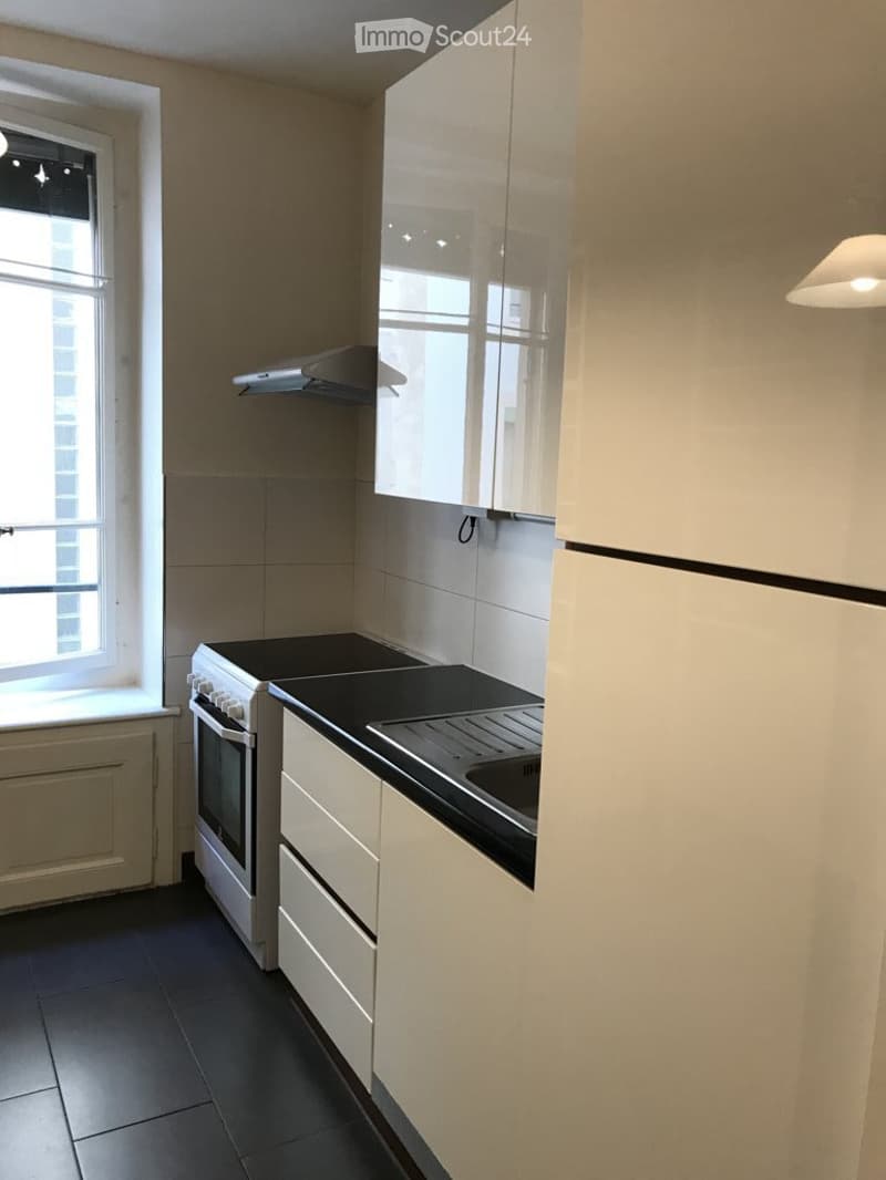 Appartement de 3 pièces à louer - Rue de Carouge, Genève (4)