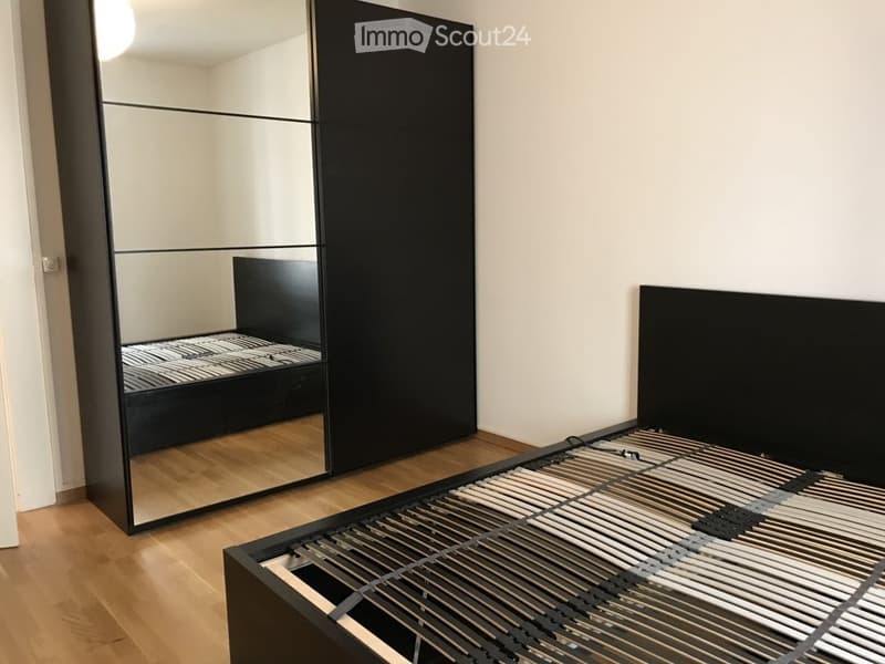 Appartement de 3 pièces à louer - Rue de Carouge, Genève (3)