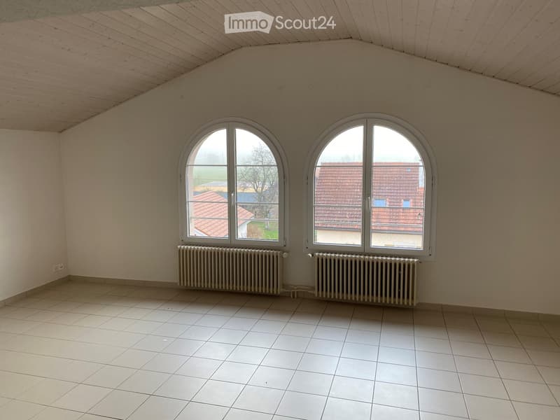 lumineux appartement, cuisine agencée habitable (1)