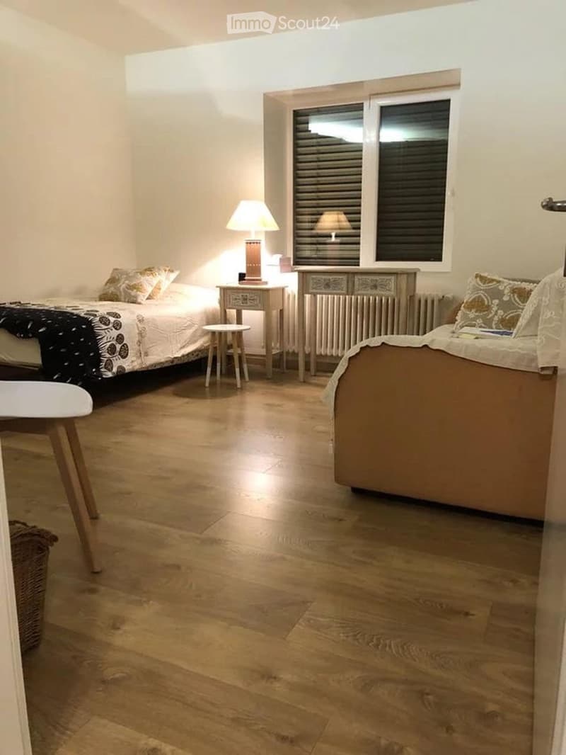 Einladendes Apartment mit 2,5 Zimmern in Bellinzona. (1)