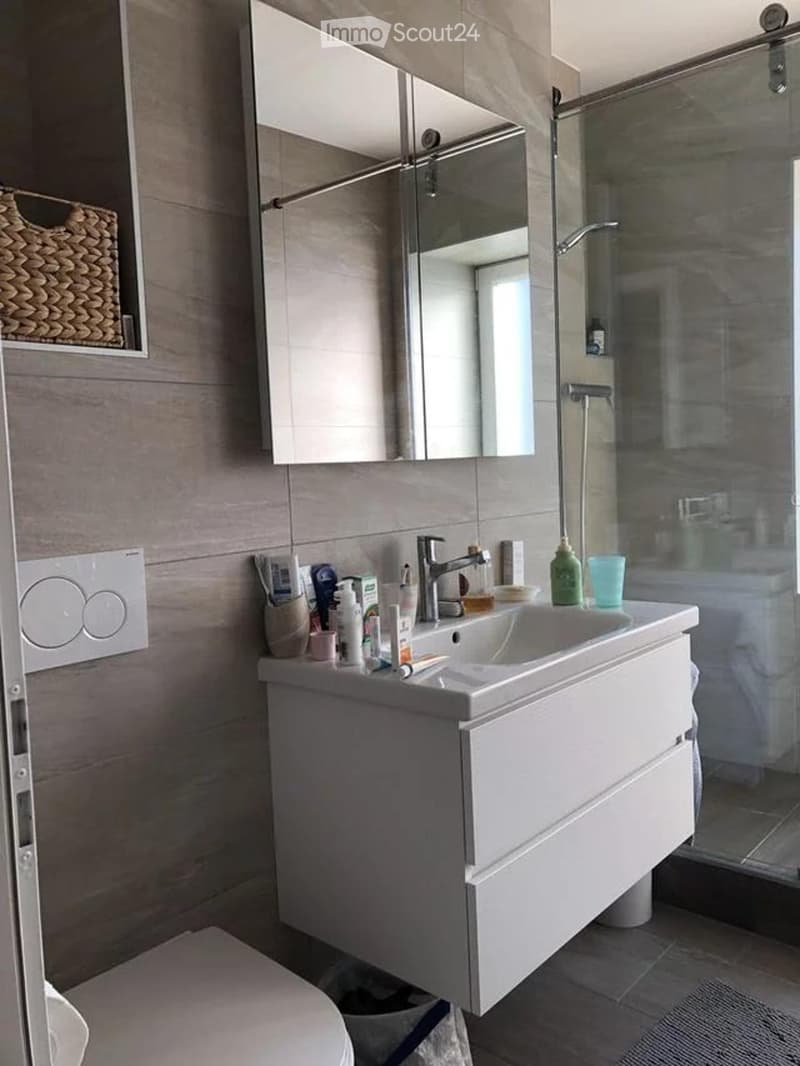 Einladendes Apartment mit 2,5 Zimmern in Bellinzona. (3)