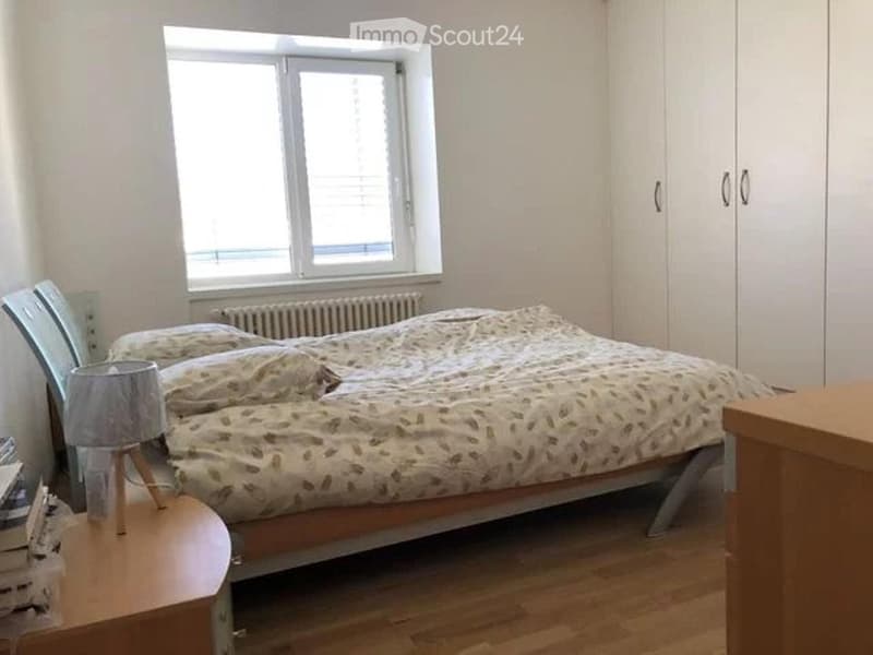 Einladendes Apartment mit 2,5 Zimmern in Bellinzona. (5)