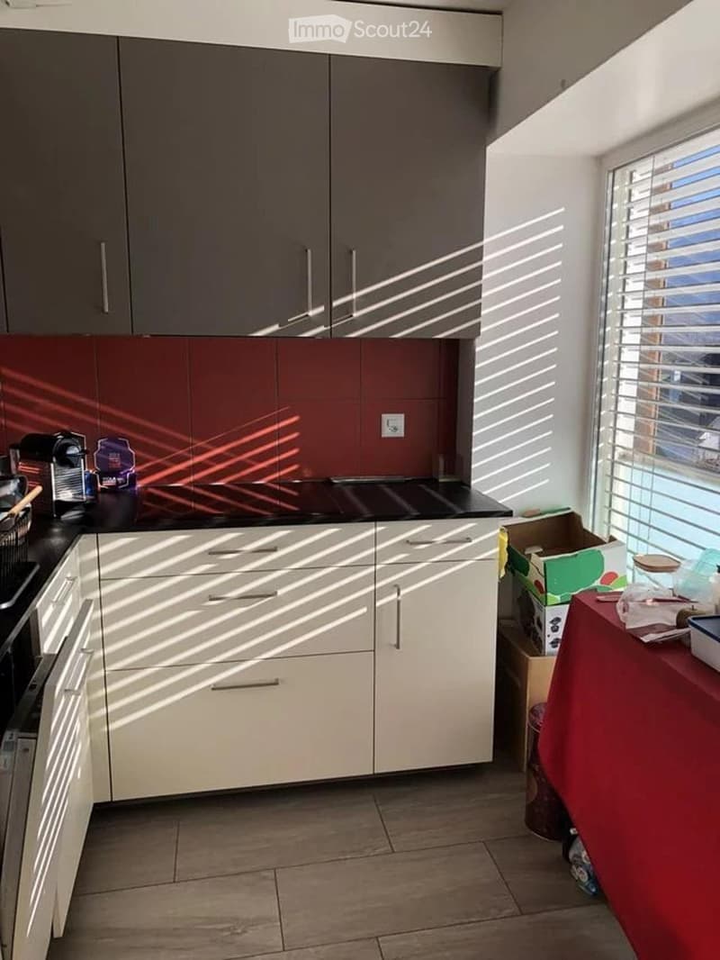 Einladendes Apartment mit 2,5 Zimmern in Bellinzona. (4)