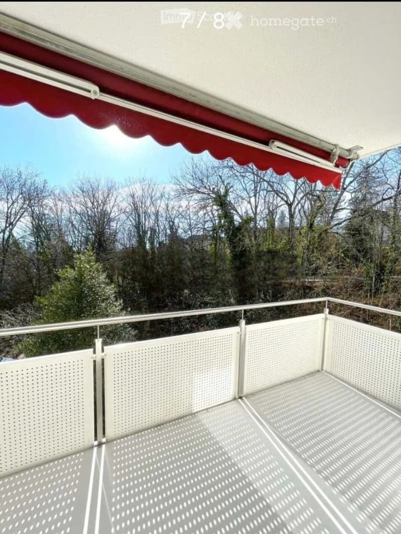 3-room apartment for rent in Lausanne (1)