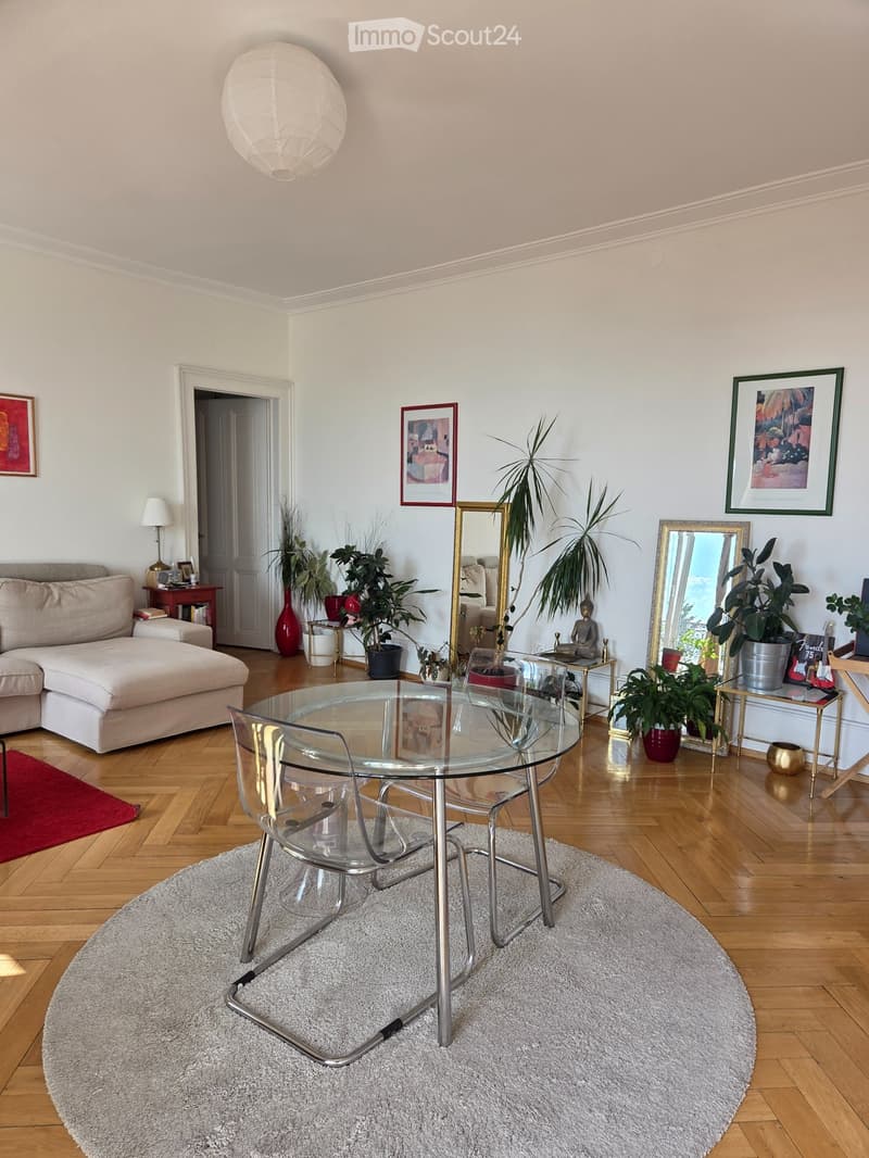 Charming apartment with lake view. For rent. (5)