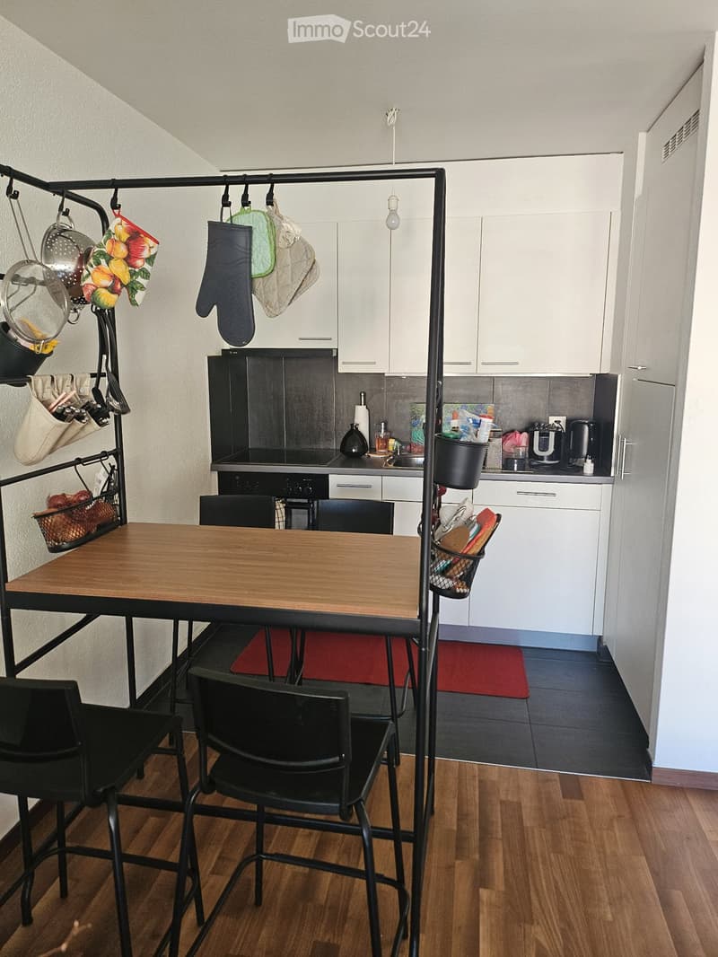 Lumineux Apartment 1.5 pièces à louer (5)
