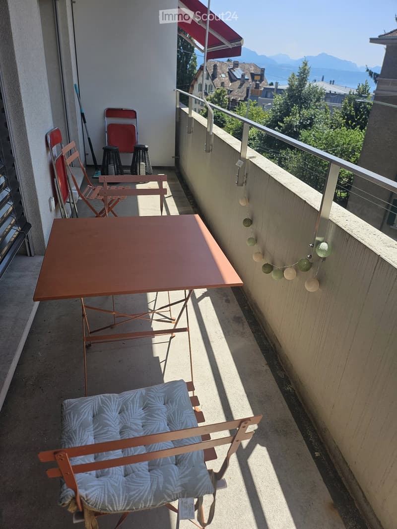 Lumineux Apartment 1.5 pièces à louer (3)