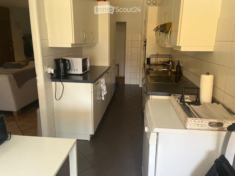 Appartement lumineux 4 pièces avec balcon, Petit-Saconnex Genève (3)
