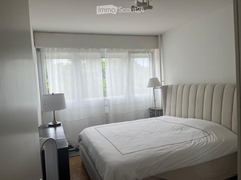 Appartement lumineux 4 pièces avec balcon, Petit-Saconnex Genève (5)