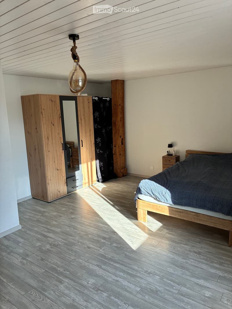 Großes Apartment 4.5 Zimmer mit Charme (3)