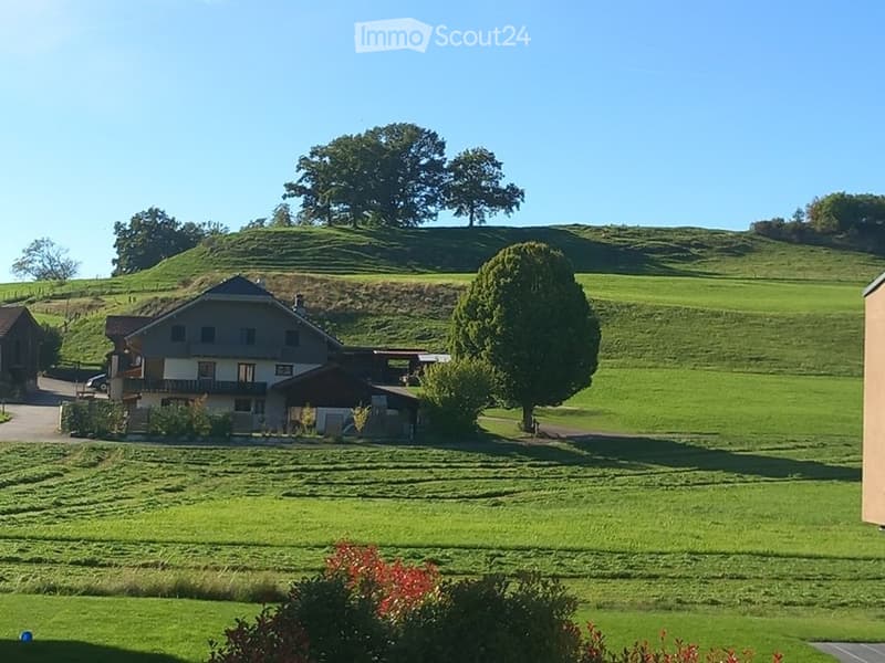 Wohnung 3.5 Zimmer mit 80 m² in Châtel-St-Denis (12)