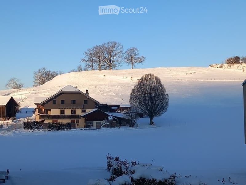 Wohnung 3.5 Zimmer mit 80 m² in Châtel-St-Denis (13)