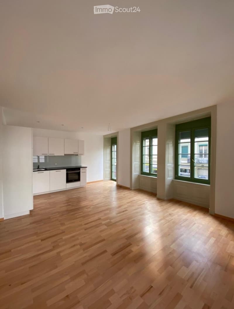 Modern and bright apartment in an ideal location (1)
