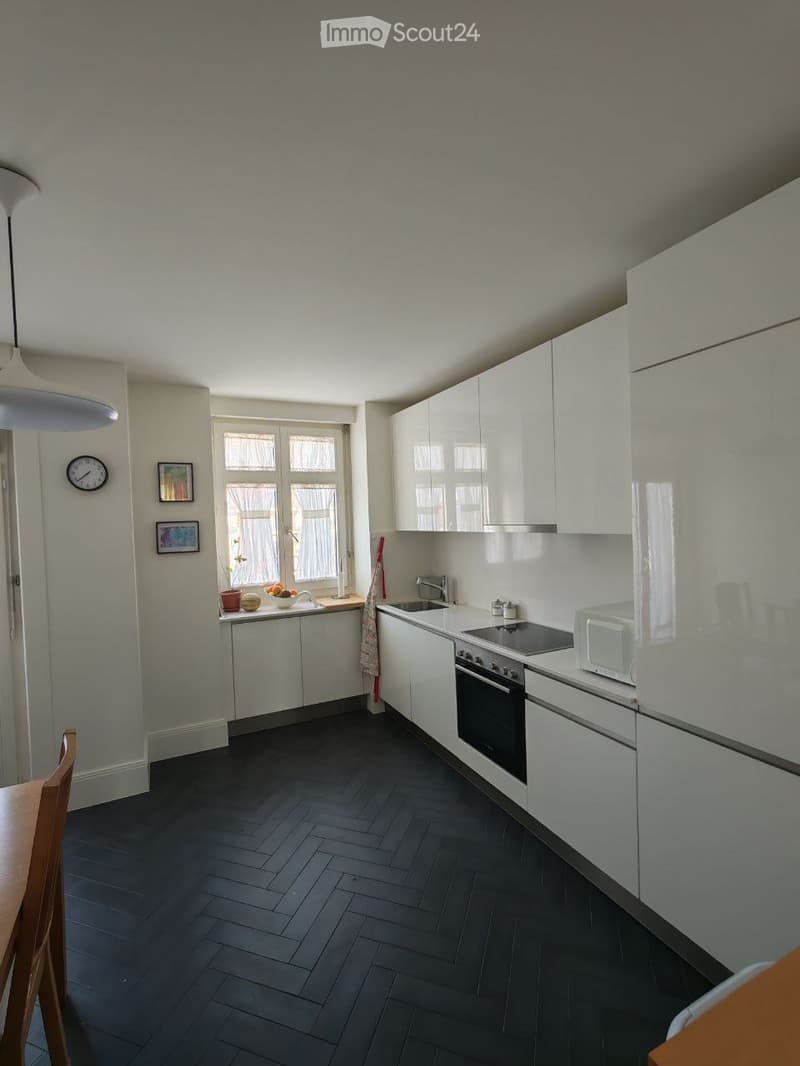 Magnifique 3.5 appartement au coeur de Lausanne + vue au lac (5)