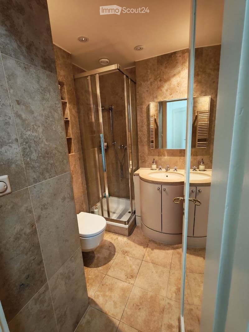 Magnifique 3.5 appartement au coeur de Lausanne + vue au lac (3)