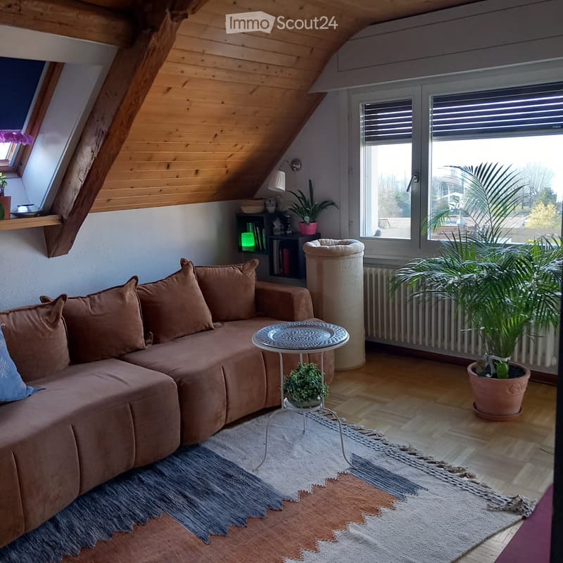 Suche Mitbewohner für 3,5-Zimmer-Wohnung in der Altstadt (1)