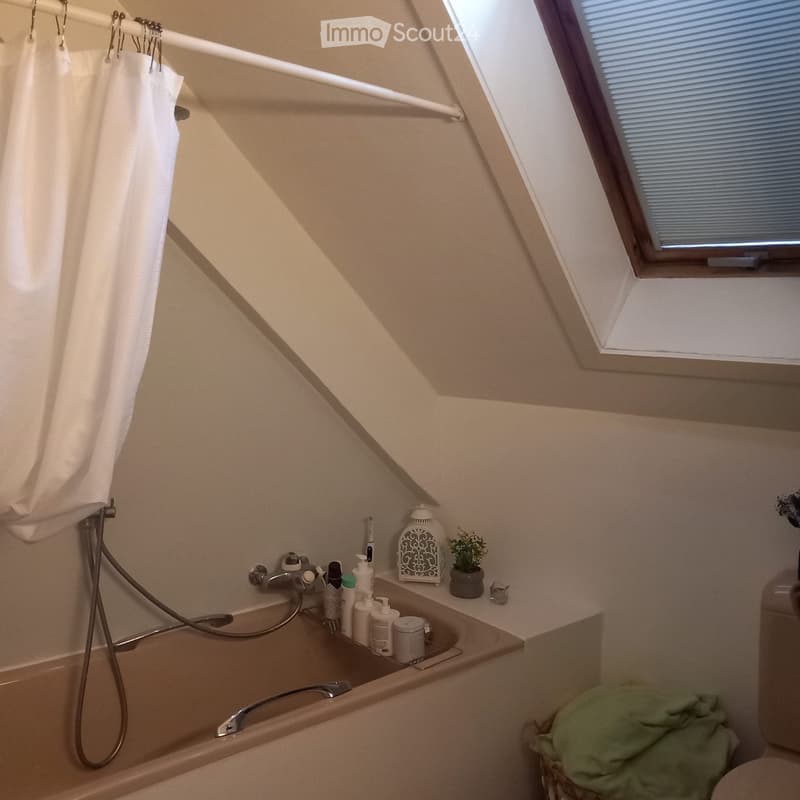 Suche Mitbewohner für 3,5-Zimmer-Wohnung in der Altstadt (4)