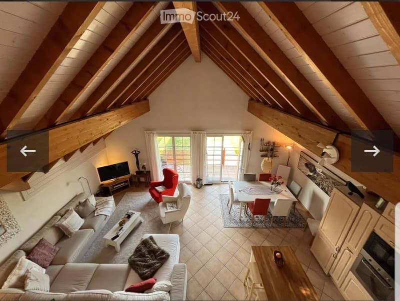 Prächtige Wohnung mit Galerie, Balkon und Terrasse (4)