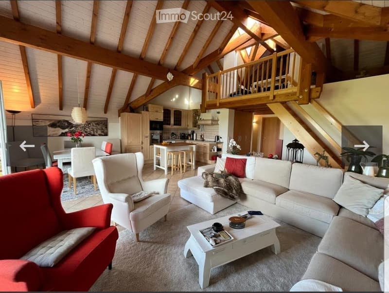 Prächtige Wohnung mit Galerie, Balkon und Terrasse (3)