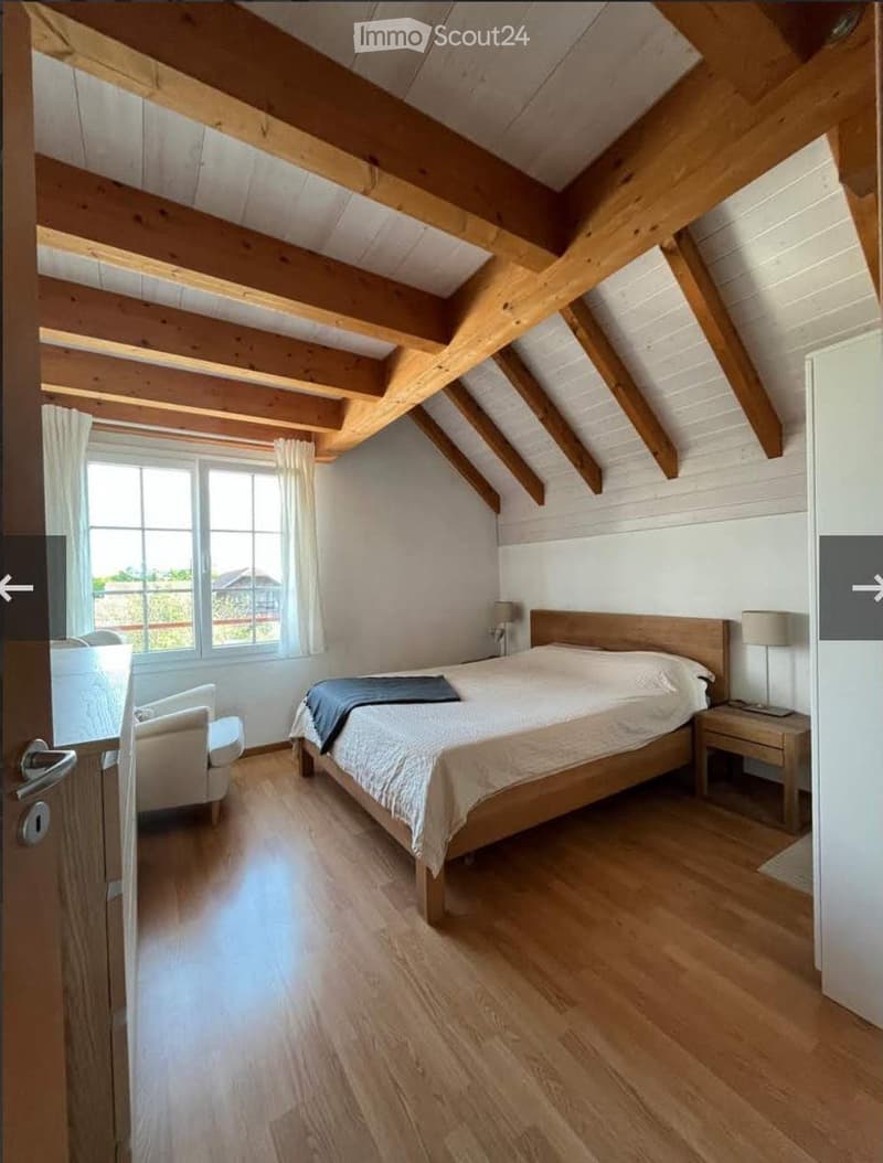 Prächtige Wohnung mit Galerie, Balkon und Terrasse (5)