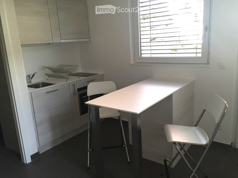 Studio zur sofortigen Miete oder nach Vereinbarung (2)