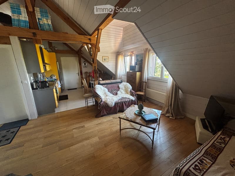 chambre en attique 30m2 (2)