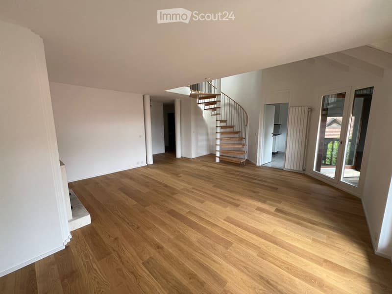 ( dringend ) Duplex 6 Zimmer 180m2 Genfer Land (1)