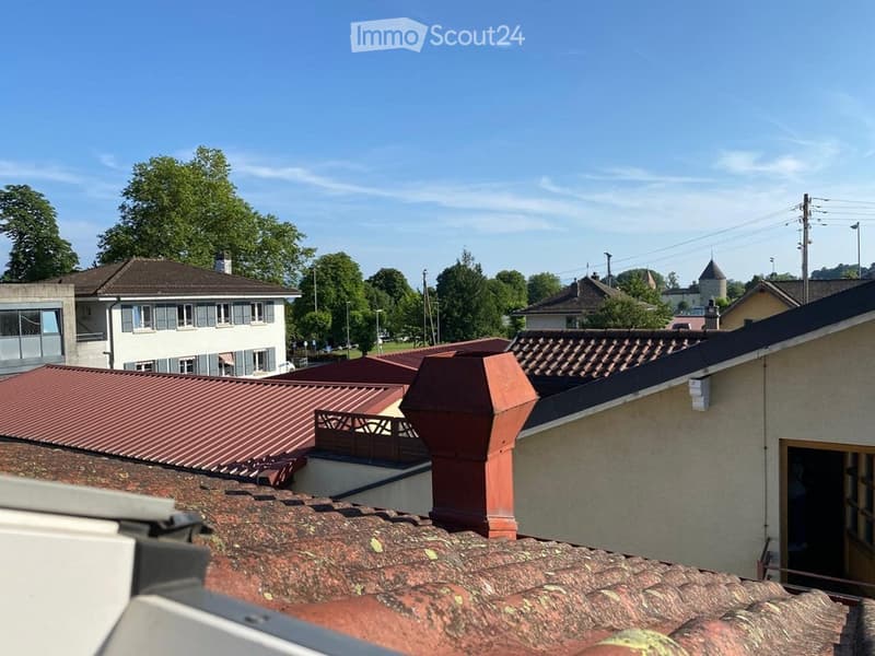 Studio 25m2 with 30m2 loft (1)