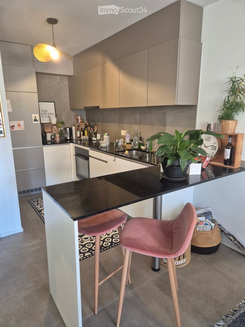 Appartement 1,5 Zimmer 50m2 (3)